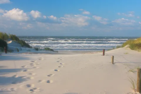 Camping Little Canvas Escape foto 6