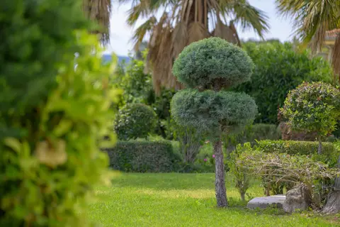 Ikies in Δημοτική Ενότητα Μυτιλήνης — foto 2