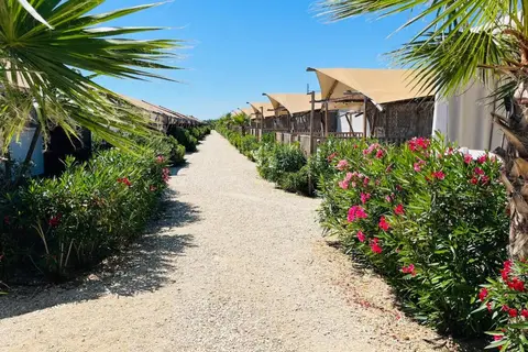 Villa Alwin Beach Resort in Cupra Marittima — foto 4