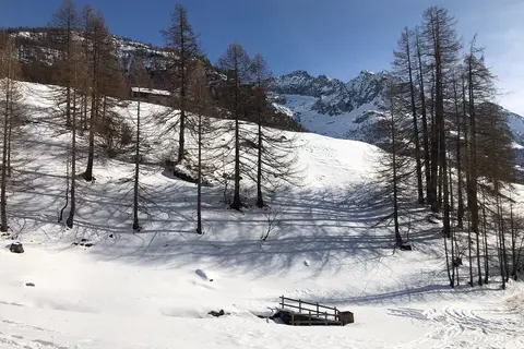 Hotel Lysjoch in Gressoney-La-Trinité — foto 16