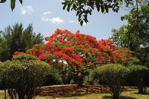12 dg fly drive Sandcastles & Family Fun Florida foto 3