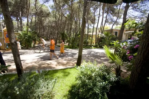 Camping La Vecchia Torre foto 2