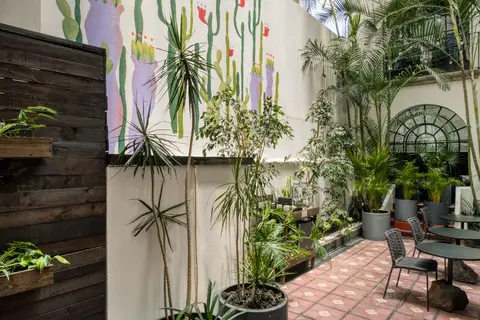 Casa Tonalá in Casa Luis Barragán, foto 16