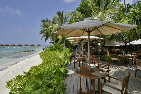 ROBINSON Club Maldives in Robinson Club Maldives, foto 21