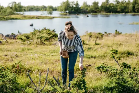 Zweden op het gemak in Zweden — foto 4