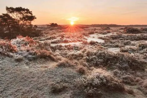 Suitelodges Gooilanden foto 11