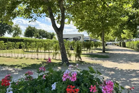 Camping De Molenhoek foto 11