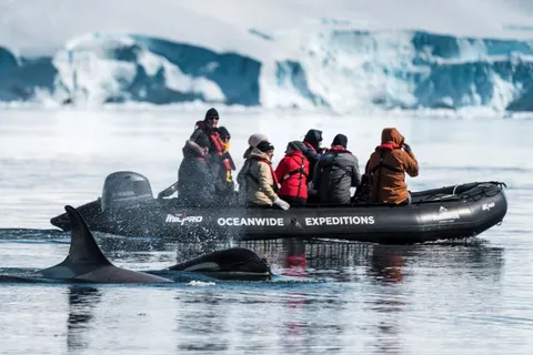 Expeditiecruise Antarctica per m/v Hondius in Cruisereizen — foto 9