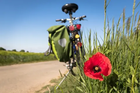 Camping Emmen foto 17