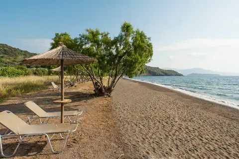 Delfinia Hotel & Bungalows in Μόλυβος — foto 15
