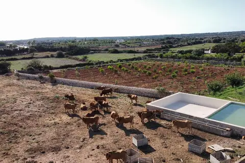 Agroturismo Son Juaneda in Ciutadella, foto 28