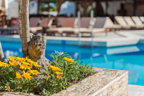 Hotel Gaia Garden foto 3