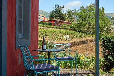 Quinta das Vinhas in Calheta — foto 6