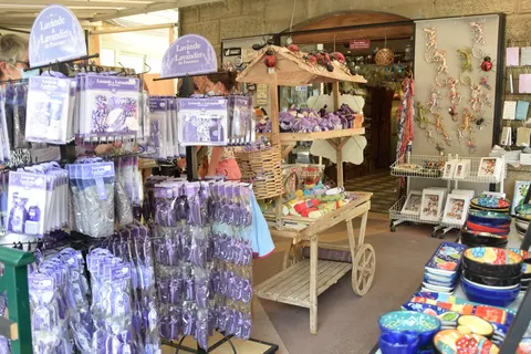 Camping La Pinatelle foto 24