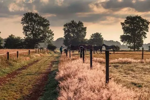 Boutique Hotel Nieuw Beusink foto 27