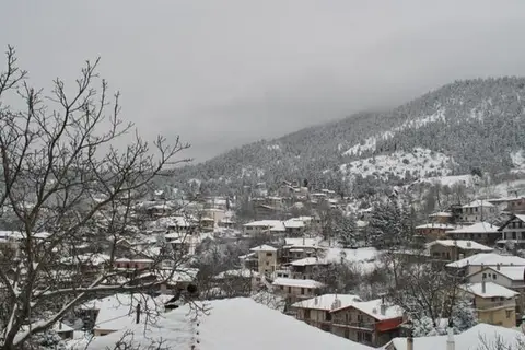 To Balcony Tis Agorianis in Δημοτική Ενότητα Τιθορέας — foto 9