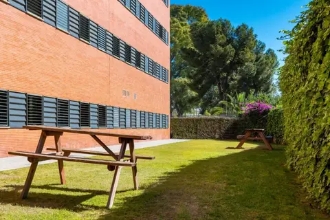 Micampus Rector Estanislao Del Campo in Sevilla — foto 20