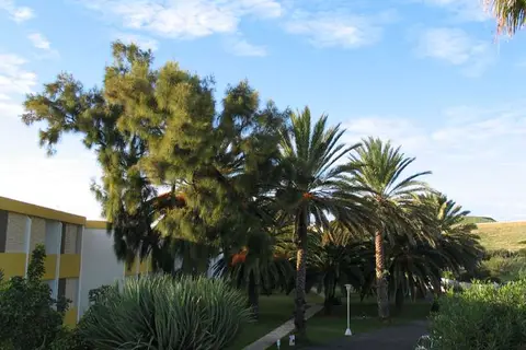 Porto Santo Hotel & Spa in Vila Baleira, Porto Santo — foto 11