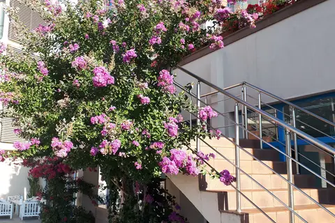 Hotel Slavey in СПА център Ривиера Бийч — foto 26