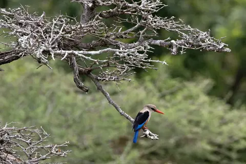 Geheime Schatten van Tanzania in Tanzania — foto 13