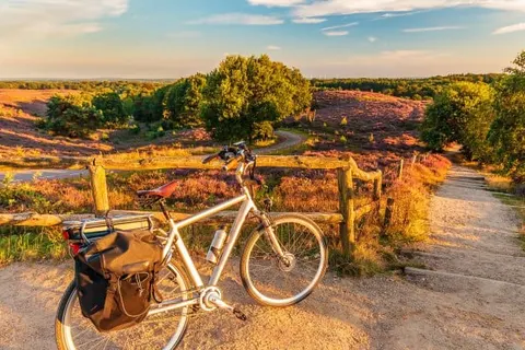 Vakantiepark de Bosrand foto 7