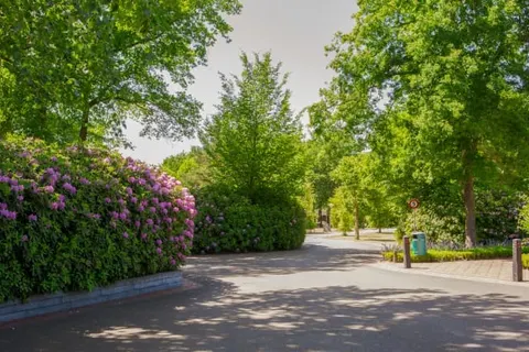 Vakantiepark Latour foto 11