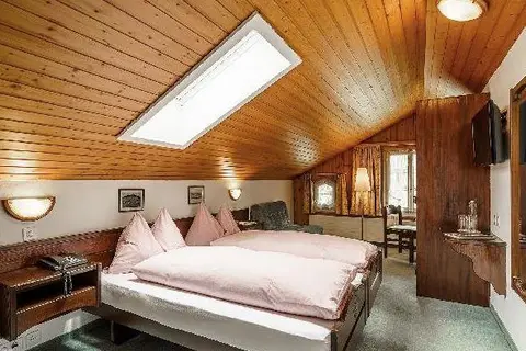 Hotel Alpenblick in Wilderswil, foto 7