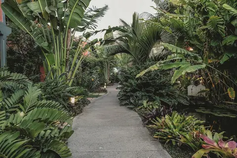 Hotel Hacienda de Abajo in Tazacorte — foto 16