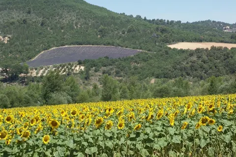 Camping Lou Passavous foto 6