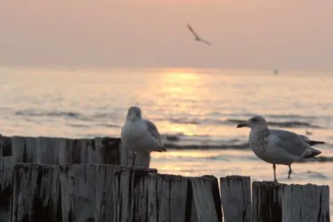 Hotel Anno Nu foto 21