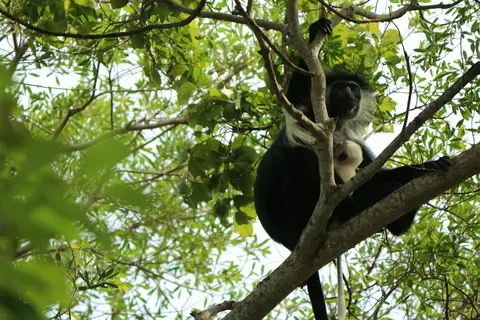 Diani Sea Lodge in Diani Beach — foto 5