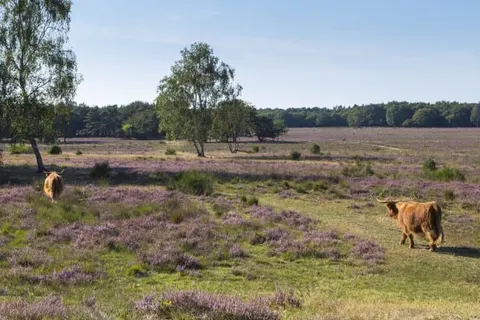 Van der Valk Hotel Breukelen foto 42
