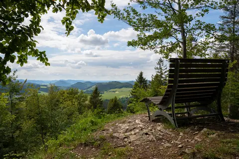 Vakantiepark Uplandparcs W³ in Winterberg — foto 4