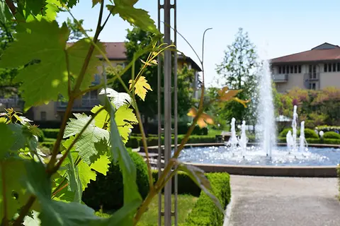 Radisson Blu Park Hotel & Conference Centre in Radebeul, foto 10