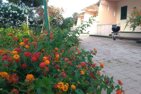 Villa Teti in Campofelice di Roccella, foto 13