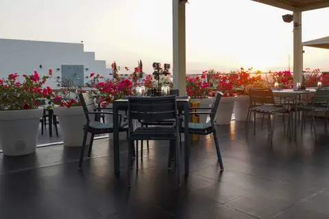 Golden Tulip Muscat in Muskaatdruif — foto 13