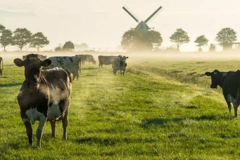 Best Western Plus Amstelveen foto 4