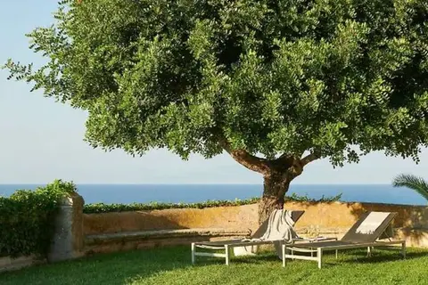 Villa Paola in Tropea — foto 24