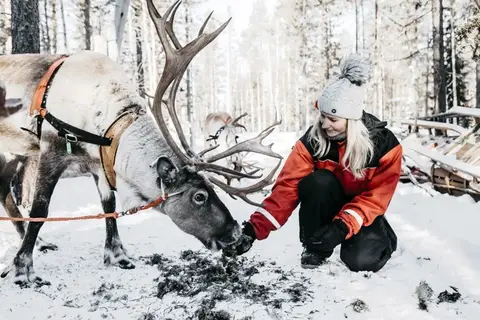 5-daags Winteravontuur Levi in Fins Lapland — foto 7