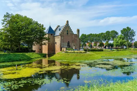 Hollandsch Glorie in Westerveld — foto 11