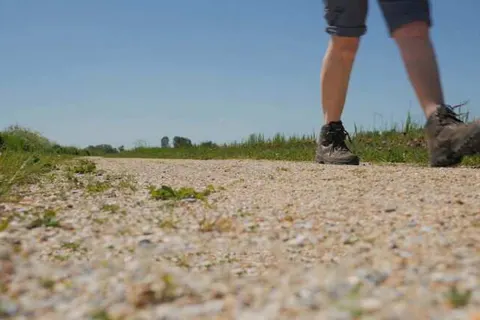 Hotel & Restaurant Princenhof foto 33