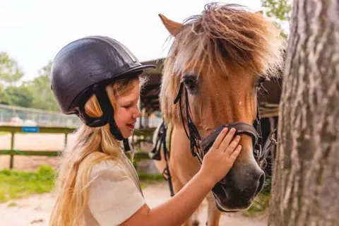 Vakantiepark IJsselhof foto 18