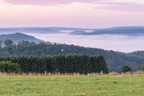 Domaine du Moulin d&ampapos;Asselborn foto 19