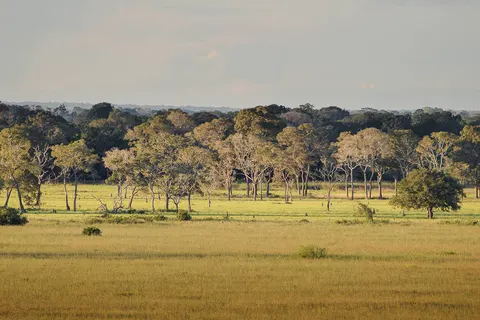 Discover the Nature of Brazil in Rio de Janeiro — foto 3
