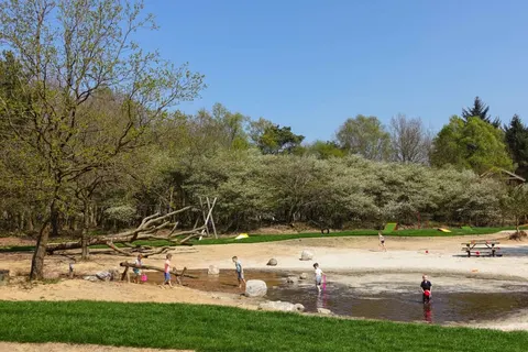 Vakantiepark Ruinen foto 8