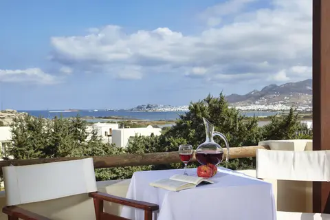 Kedros Villas in Άγιος Προκόπιος — foto 21