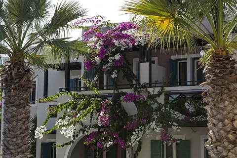 Rose Bay Hotel in Δημοτική Ενότητα Θήρας — foto 24