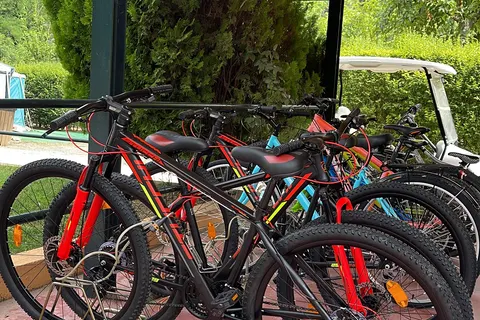 Taïga Bassegoda Park foto 9