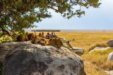 Tanzania op het gemak in Tanzania, foto 9