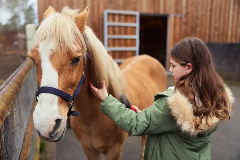 Les Landes De Gascogne foto 8